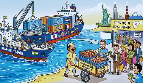 मत्स्य निर्यातीत महाराष्ट्र देशात दुसऱ्या स्थानी; कोकणच्या कोळंबीची सातासमुद्रापार मोहिनी, मच्छीमारांमुळे राज्याच्या अर्थव्यवस्थेला नवी झेप