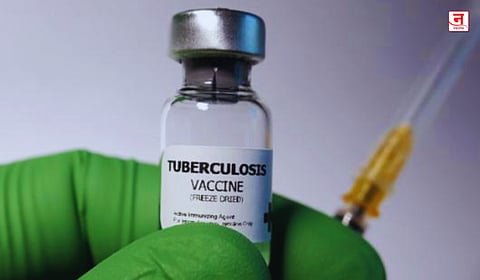 Tuberculosis Vaccine : क्षयरोगावरील दोन नवीन लसी चाचणीत आढळल्या सुरक्षित