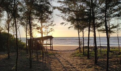 आचरा निसर्गाचे देखणे लेणे