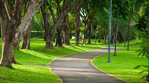 Mumbai : चर्चगेट ते मंत्रालय अन् बीकेसीत 'ग्रीन वॉक वे'; हिरवळीने सजलेले सावलीदार पर्यावरणपूरक उपक्रम