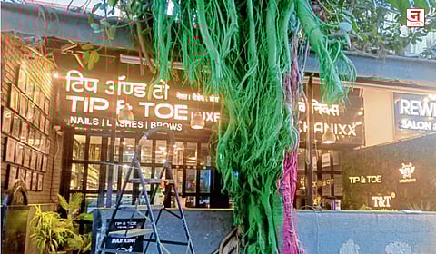 Mumbai : वांद्रे येथे वडाच्या झाडावर विषप्रयोग; रासायनिक रंग फासला, सलूनविरोधात पोलिसांत तक्रार