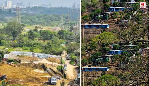 सरकारी जमिनीवर पुन्हा अतिक्रमण; भाईंदरच्या डोंगरी येथे भू-माफिया सक्रिय, पालिका व महसूल विभागाचे दुर्लक्ष