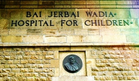 Mumbai : यकृत प्रत्यारोपणात माताच ठरल्या जीवनदात्या; वाडिया रुग्णालयात ७० टक्के प्रकरणात मातांनीच केले यकृताच्या भागाचे दान
