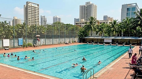 पोहणेही झाले आता महाग! BMC च्या जलतरण तलावाच्या शुल्कात वाढ; सभासदांना आता ५ टक्के अधिक मोजावे लागणार