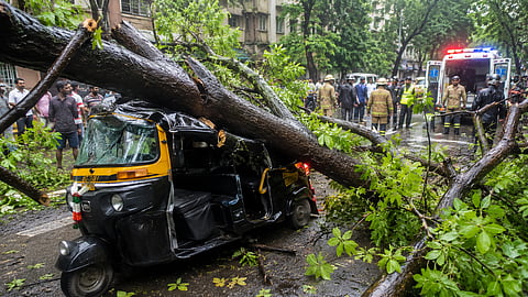 Mumbai : खार येथील झाड दुर्घटनेतील ‘त्या’ मुलीचा मृत्यू; हर्षिता कुमार हीची प्रकृती गंभीर