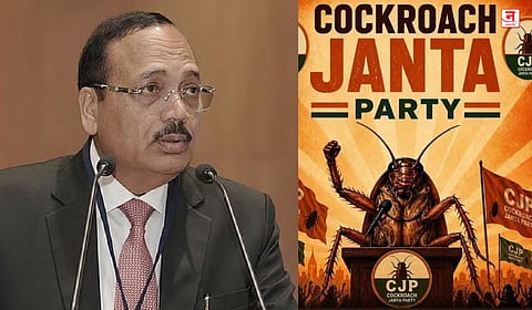 ‘कॉकरोच’विरोधी याचिकेची तातडीने सुनावणी नाही; न्यायमूर्ती म्हणाले, भावनिक होऊ नका
