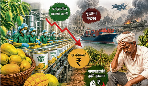 ‘आंबा कॅनिंग’ला युद्धाचा फटका; दर कोसळले, परदेशातील मागणी घटली, बागायतदारांचे दुहेरी नुकसान