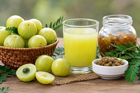 Health Tips : रोज आवळा खाताय? पण खाण्याची योग्य पद्धत कोणती? वाचा आहारतज्ज्ञ शालिनी सुधाकर यांचा सल्ला