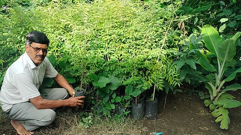 आजवर १८ लाख रोपे दिली भेट; सुधाकर देशमुख नावाच्या वृक्षमित्राची कहाणी