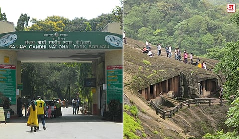 Mumbai : निसर्गप्रेमींसाठी पर्वणी! संजय गांधी राष्ट्रीय उद्यानात जंगल सफरीची संधी; कधी आणि कसं जायचं? वाचा सविस्तर