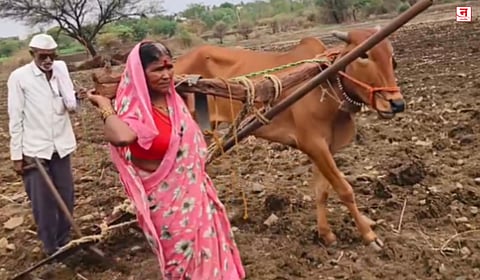 लातूरला नांगराच्या औताला पत्नीला जुंपले; आर्थिक परिस्थिती नसल्याने शेतकऱ्याची हतबलता