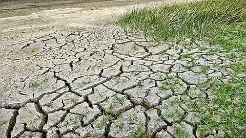 'अल निनो'चा १२ राज्यांना फटका