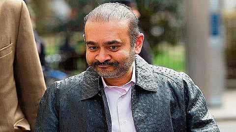 'बँक ऑफ इंडिया'ला १ कोटी डॉलर्स देण्याचे नीरव मोदीला आदेश
