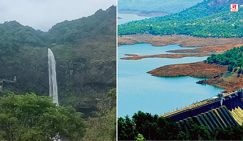 Satara : कोयना धरणात पावसाची हजेरी; पश्चिम महाराष्ट्रात दमदार पावसाचे आगमन