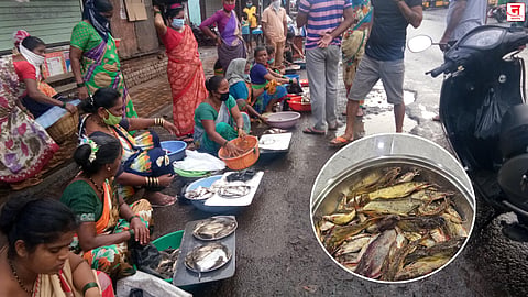 वळगणीच्या 'चिवनी' मच्छीला ग्राहकांची पसंती; अवघ्या २० ते २५ दिवसांचीच उपलब्धता; बाजारात मोठी मागणी