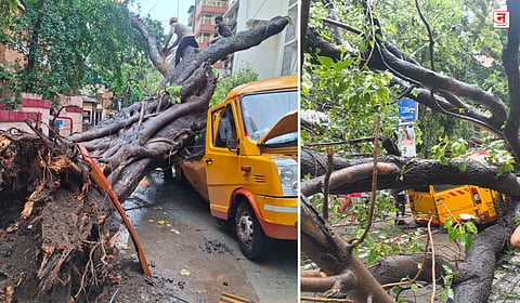Mumbai : चेंबूरमध्ये शाळेच्या बसवर झाड कोसळले; १० विद्यार्थी जखमी, बचावकार्य सुरू, Video