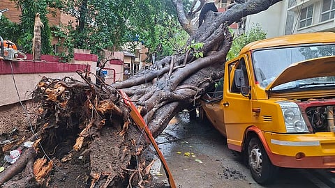 Mumbai : विद्यार्थ्याचा करुण अंत; चेंबूरमध्ये स्कूल बसवर झाड कोसळले