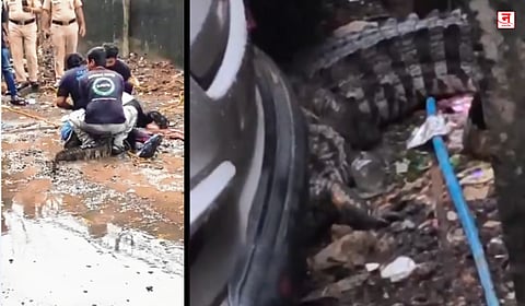Mumbai : पवई तलावातील मगर रस्त्यावर; नागरिकांमध्ये भीतीचे वातावरण, वनविभागाकडून रेस्क्यू, Video