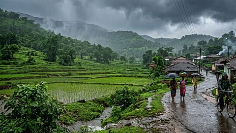 Maharashtra Rain Alert : राज्यात पुन्हा पावसाचा जोर! 'या' जिल्ह्यांत मुसळधार पावसाचा इशारा; IMD कडून यलो-ऑरेंज अलर्ट