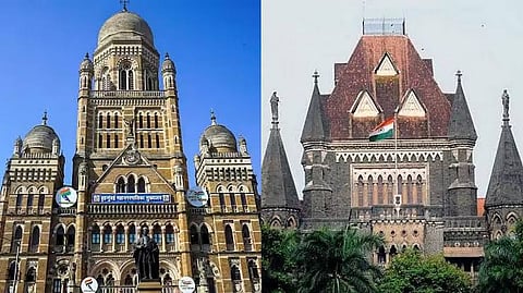 पुरातन वारसा स्थळांवरील कचरा सात दिवसांत हटवा; उच्च न्यायालयाचे मुंबई मनपाला आदेश