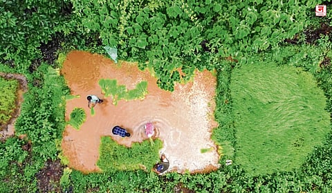 चिखलातली आनंदयात्रा