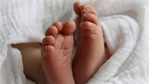 Pune : नऊ महिन्यांच्या पुतण्याच्या तोंडात फेव्हिक्विक; महिलेविरुद्ध गुन्हा