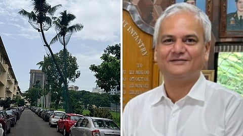 Mumbai : नारळाच्या झाडांना संरक्षण जाळ्या बसवा! पालिका आयुक्त, उद्यान अधीक्षकांना मकरंद नार्वेकर यांचे पत्र