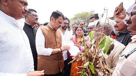 पिकांच्या नुकसानीपोटी सरसकट मदत; मुख्यमंत्र्यांची शेतकऱ्यांना ग्वाही, संकटकाळात सरकार शेतकऱ्यांच्या पाठीशी