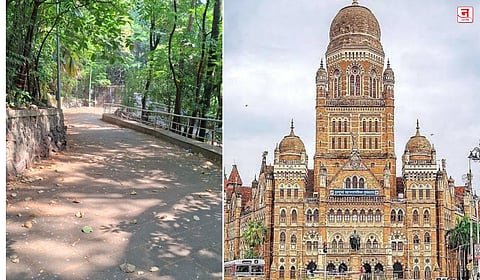 Mumbai : कमला नेहरू उद्यानातील ‘सिरी रोड’ पुन्हा चर्चेत; रस्ता रुंदीकरणानंतर चारचाकी वाहनांची वर्दळ वाढणार