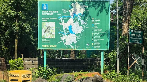 तानसा, कोलामार्काला राखीव अभयारण्याचा दर्जा; १४ संवर्धन राखीव क्षेत्रे घोषित करण्यास वन्य जीव मंडळाची मान्यता