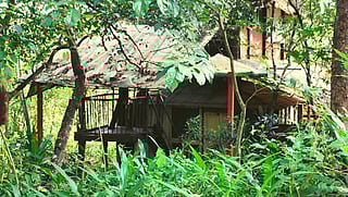 5 eco-friendly resorts in Goa you should not miss out