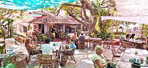 Artjuna Face, Anjuna