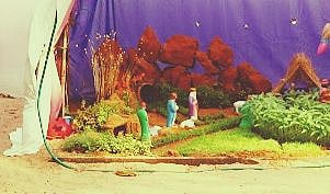 Even today, in Goa, people seldom buy readymade cribs, but create their own innovative designs using figurines, mud, sand, water and the all-important 'grass' using millet spouts