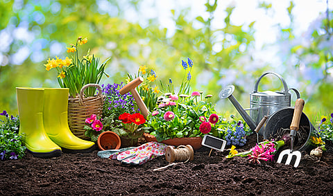 If you have a green thumb, why not enter the BSG's annual garden competition?