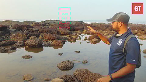 Gaurav Patil explains the finer points about Goa's marine diversity during a 'Tidepool Walk'