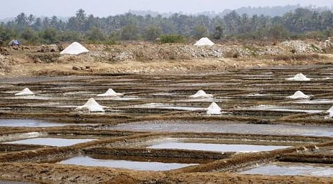 A salt pan in Tiswadi