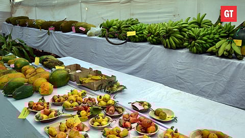 A variety of fruits on display at the Konkan Fruit Fest