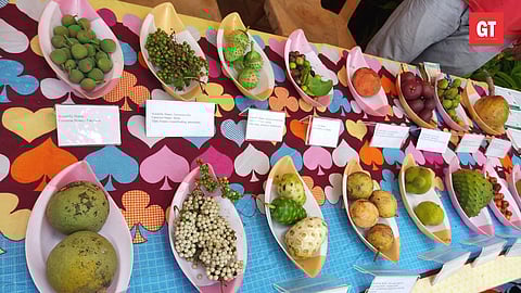 A display of various fruits, found in the Konkan, at the on-going Konkan Fruit Fest