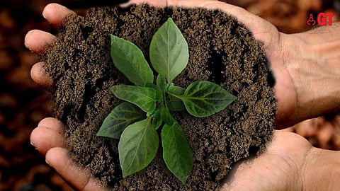 On the occasion of World Environment Day, here are some environment friendly and sustainable ways used by the people of Goa in the past