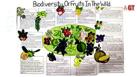 A list of wild fruits of Goa