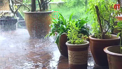 Gardening tips and tricks, gardening at home, monsoon gardening tips, gardening workshop