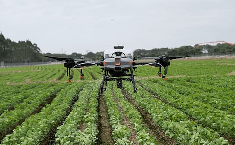 Drone technology will assist the farmer in scouting or monitoring plant health and field conditions.