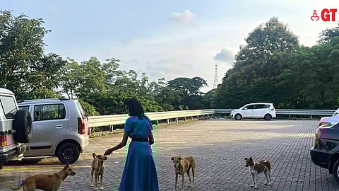 Maria Fatima spends a great deal of her time and effort looking after stray animals.
