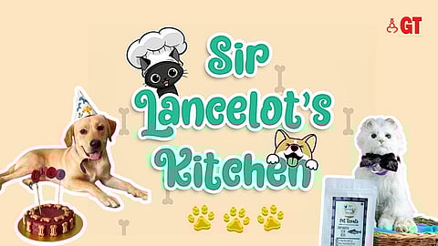 Sir Lancelot’s Kitchen: Your pet’s knight in shining armour in Goa