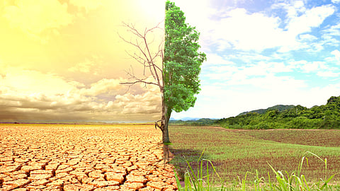 Climate change cannot be dealt with in a piecemeal fashion.