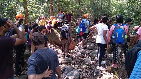 Deep inside the Mhadei region.