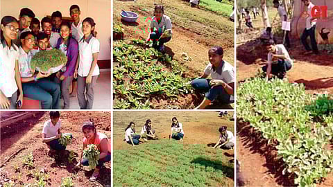 Gardening by students of an agriculture college in Goa