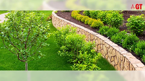The BSG’s Annual Home Garden Competition will take place in January 2023