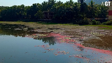 River Sal flows through the Ambulor lake in Verna.