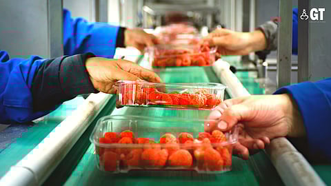 Packhouse in Mopa to make a difference in the livelihood of farmers.